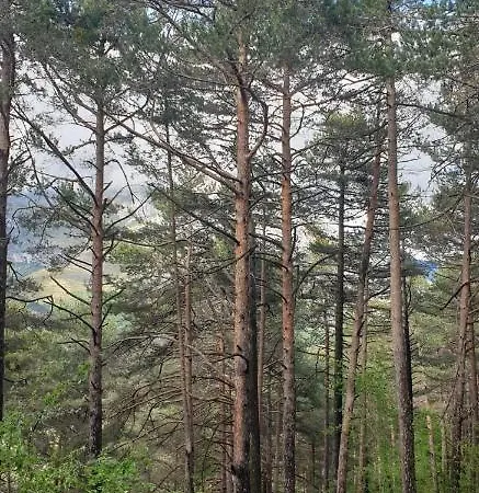 Casa Castel Naturaleza Y Descanso * Serrate