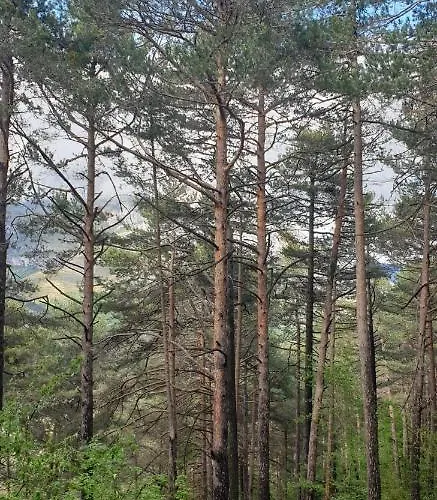 Casa Castel Naturaleza Y Descanso * Serrate